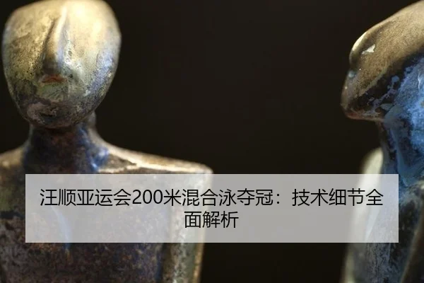 汪顺亚运会200米混合泳夺冠：技术细节全面解析